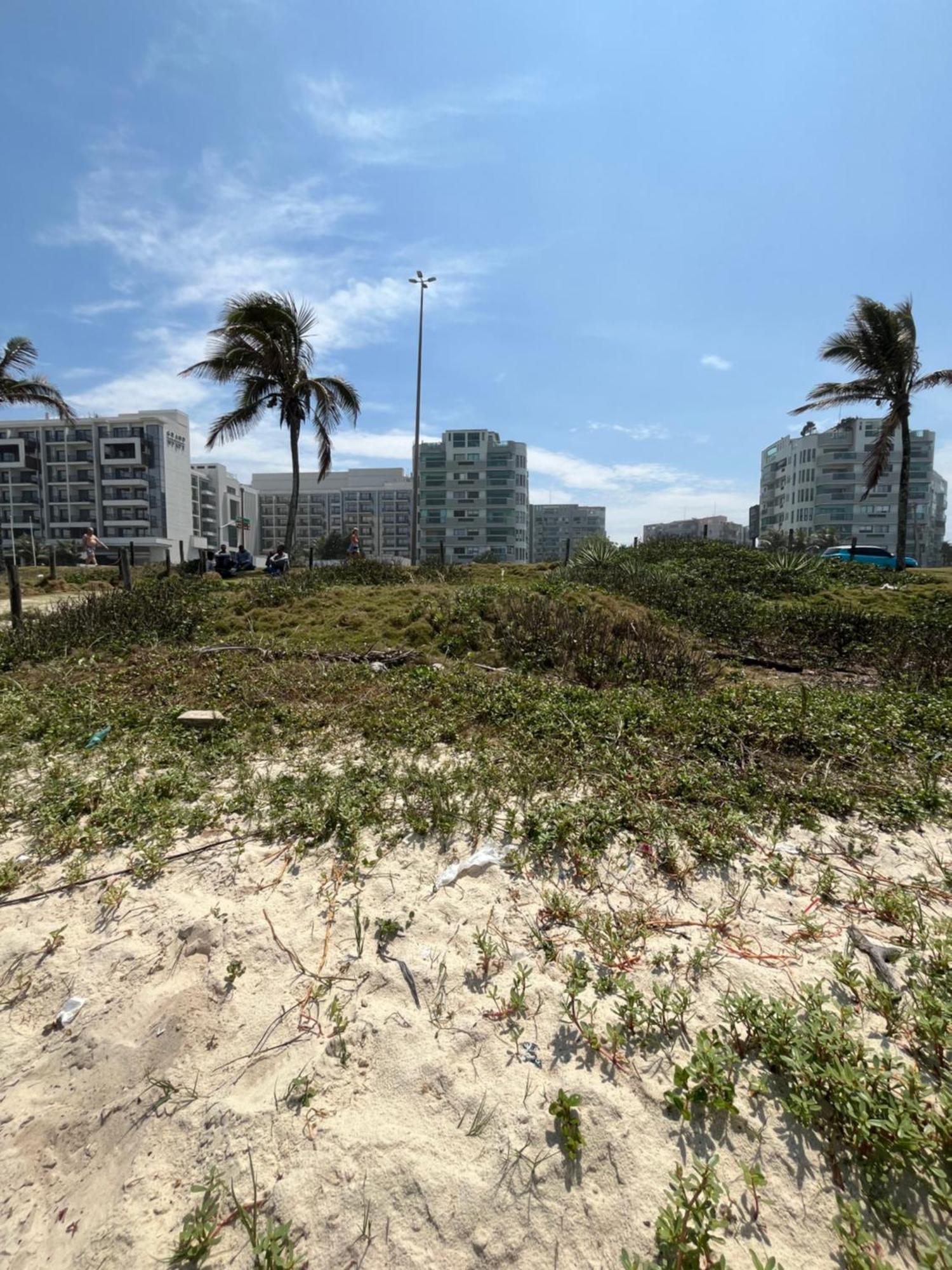 Decoracao Exclusiva Na Praia Com Piscina, Sauna, Academia E Estacionamento リオデジャネイロ エクステリア 写真